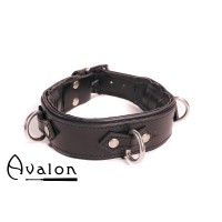 Avalon - VICTORY - Enkelt Collar med D-ringer og polstring, Sort og Rød
