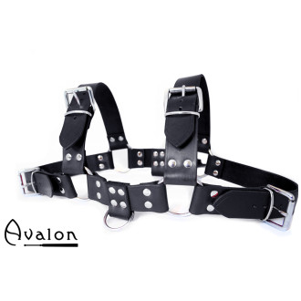 Avalon - BLAZON - Harness Svart