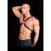 Ouch! Adonis High Halter - Harness 