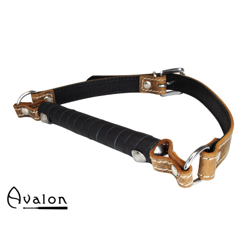 Avalon - Viking - Listen - Bitegag Avalon - Viking - Listen - Bitegag