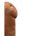 Penis Plushie - Penis Kosebamse - 60 cm - Brun Penis Plushie - Penis Kosebamse - 60 cm - Brun